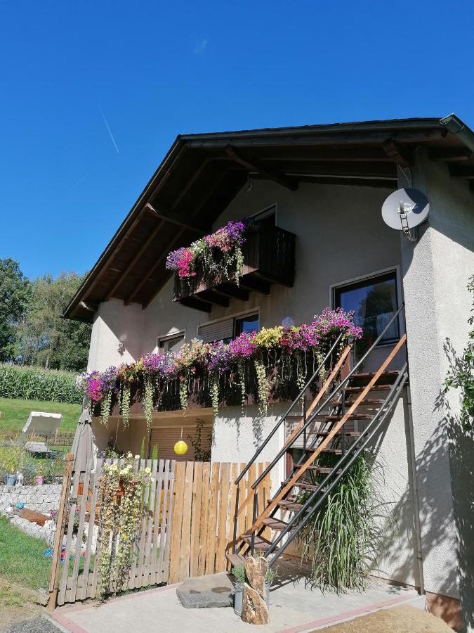 Ferienwohnung Egelkraut Schwarzenbach an der Saale Ngoại thất bức ảnh